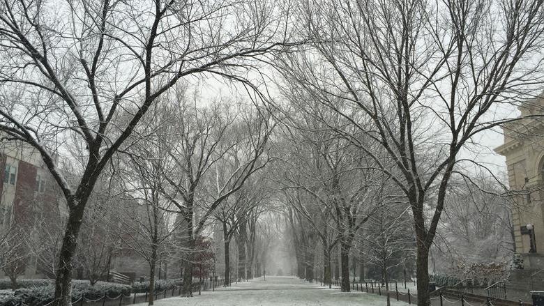 雪——老主街